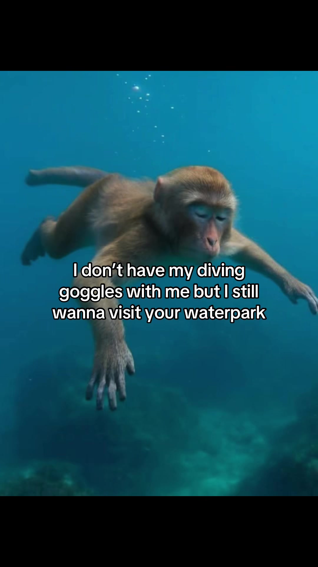 @Rocky