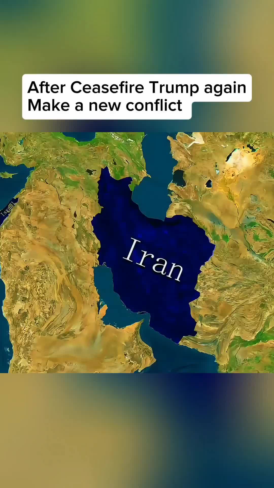 @History Feed