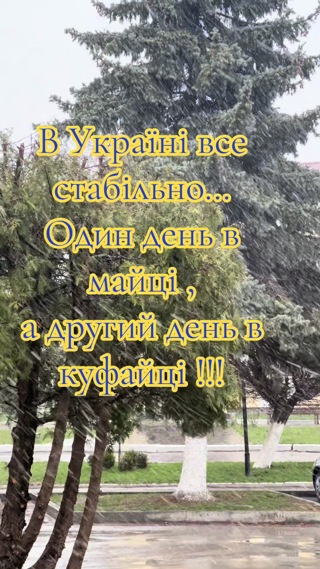 @Виктория Дрожжина