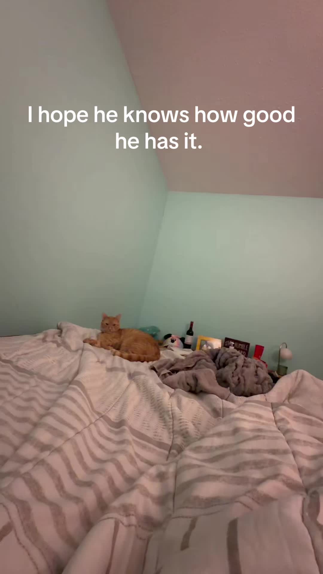 @yourdreamlifehypegirl