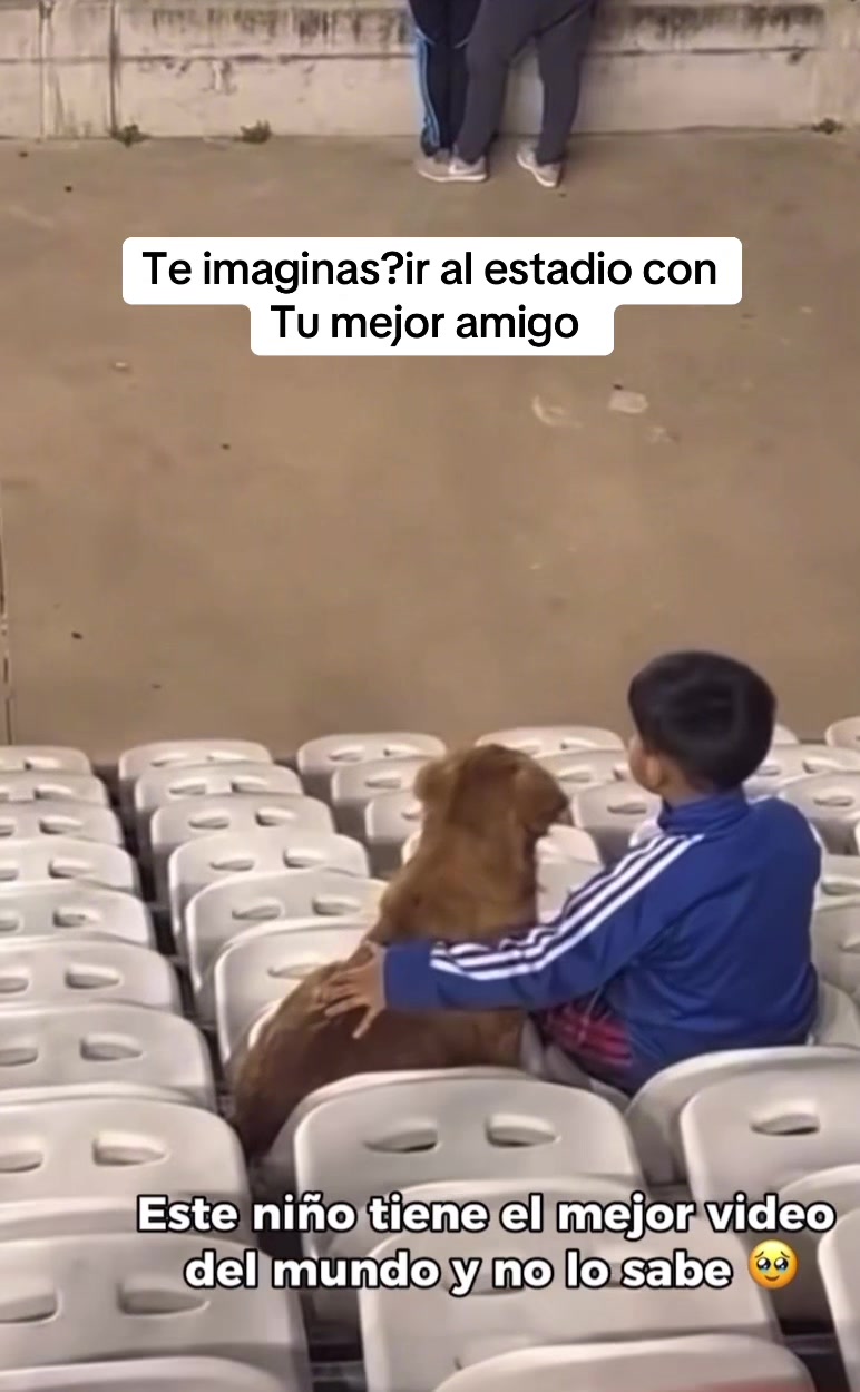 @Rodriguez