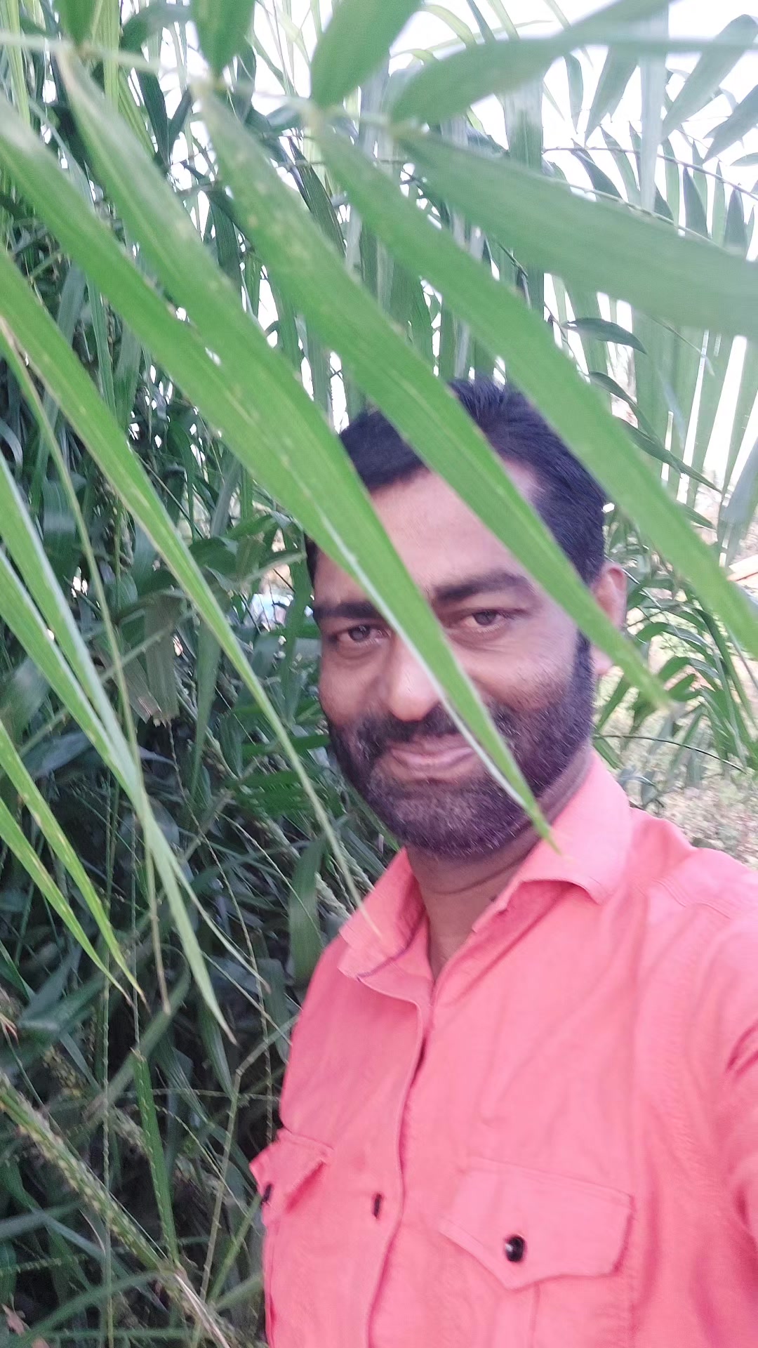 @செல்வம் செல்வம்