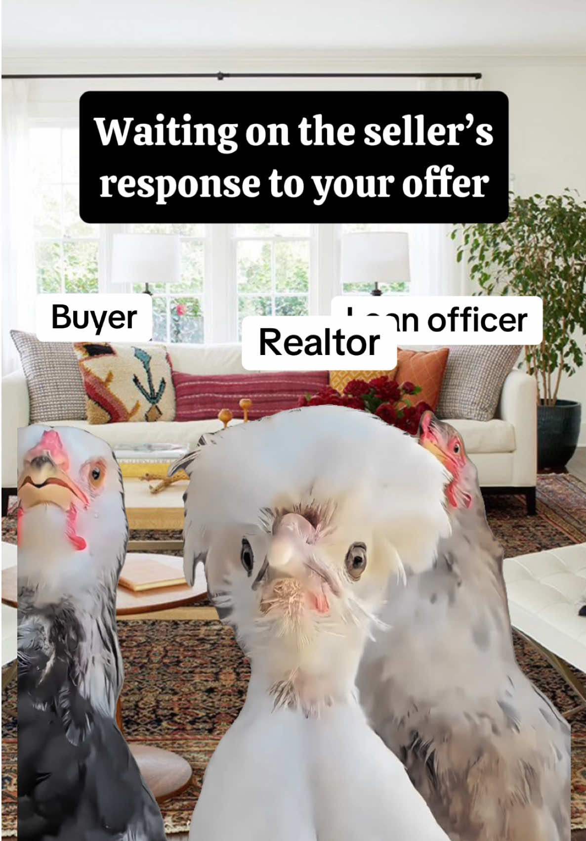 @Tewes Lending