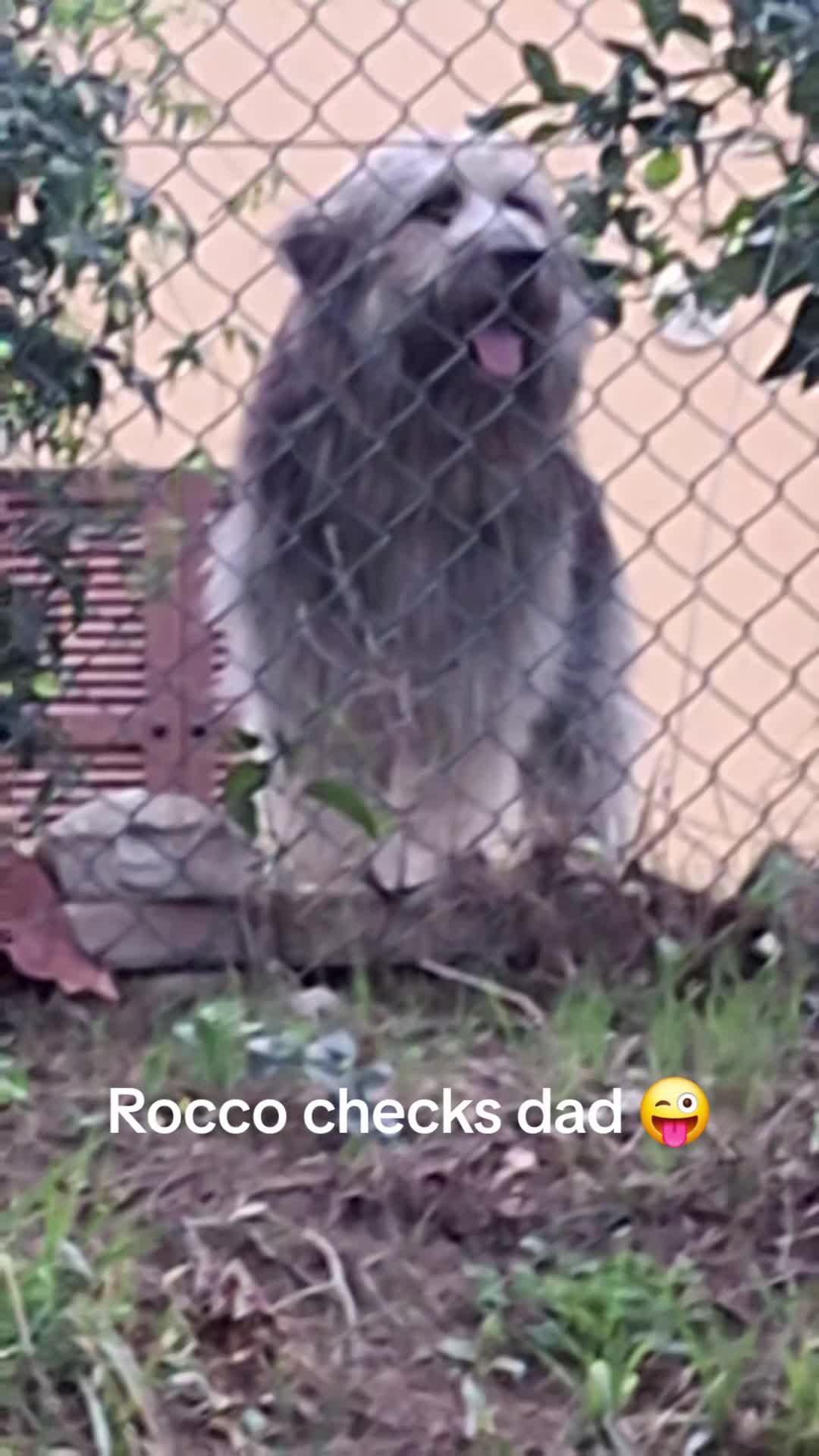 @Pablo 72