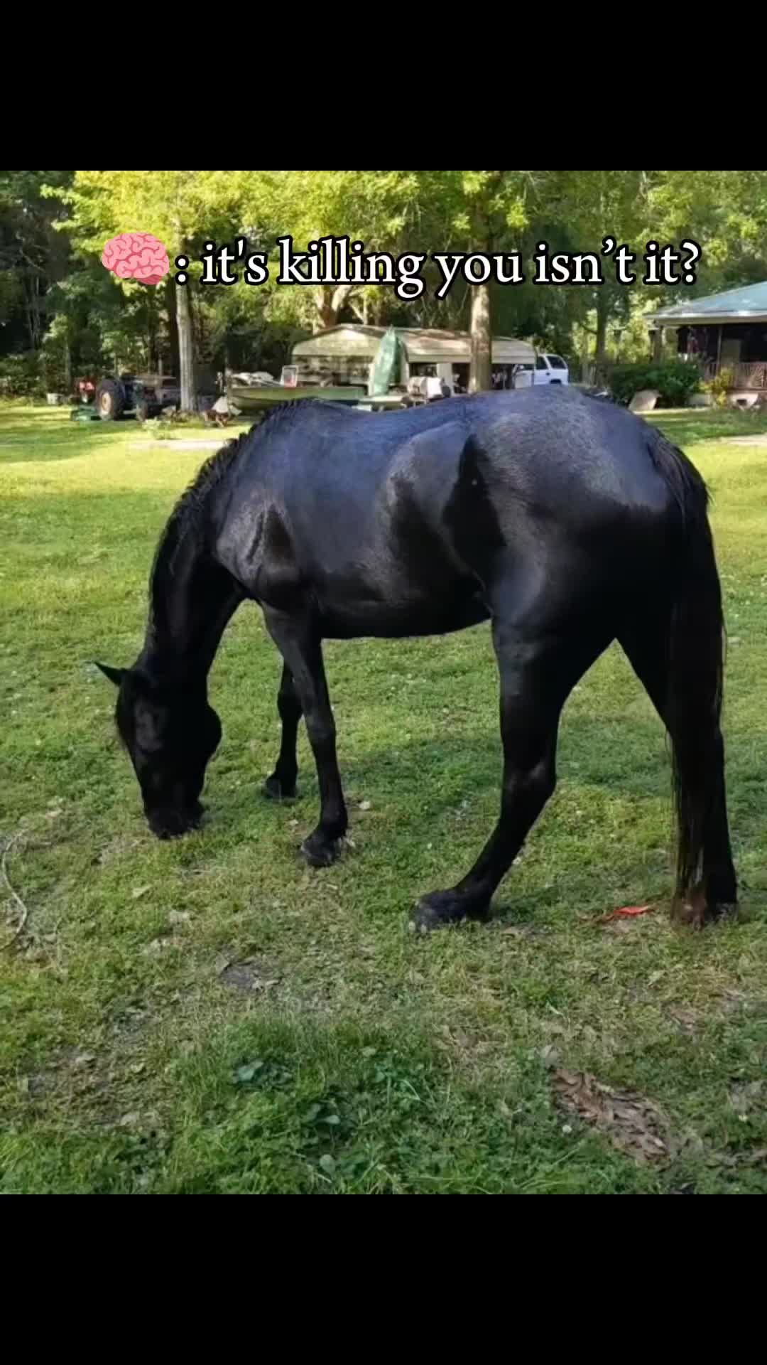 @wiredsquirrel13