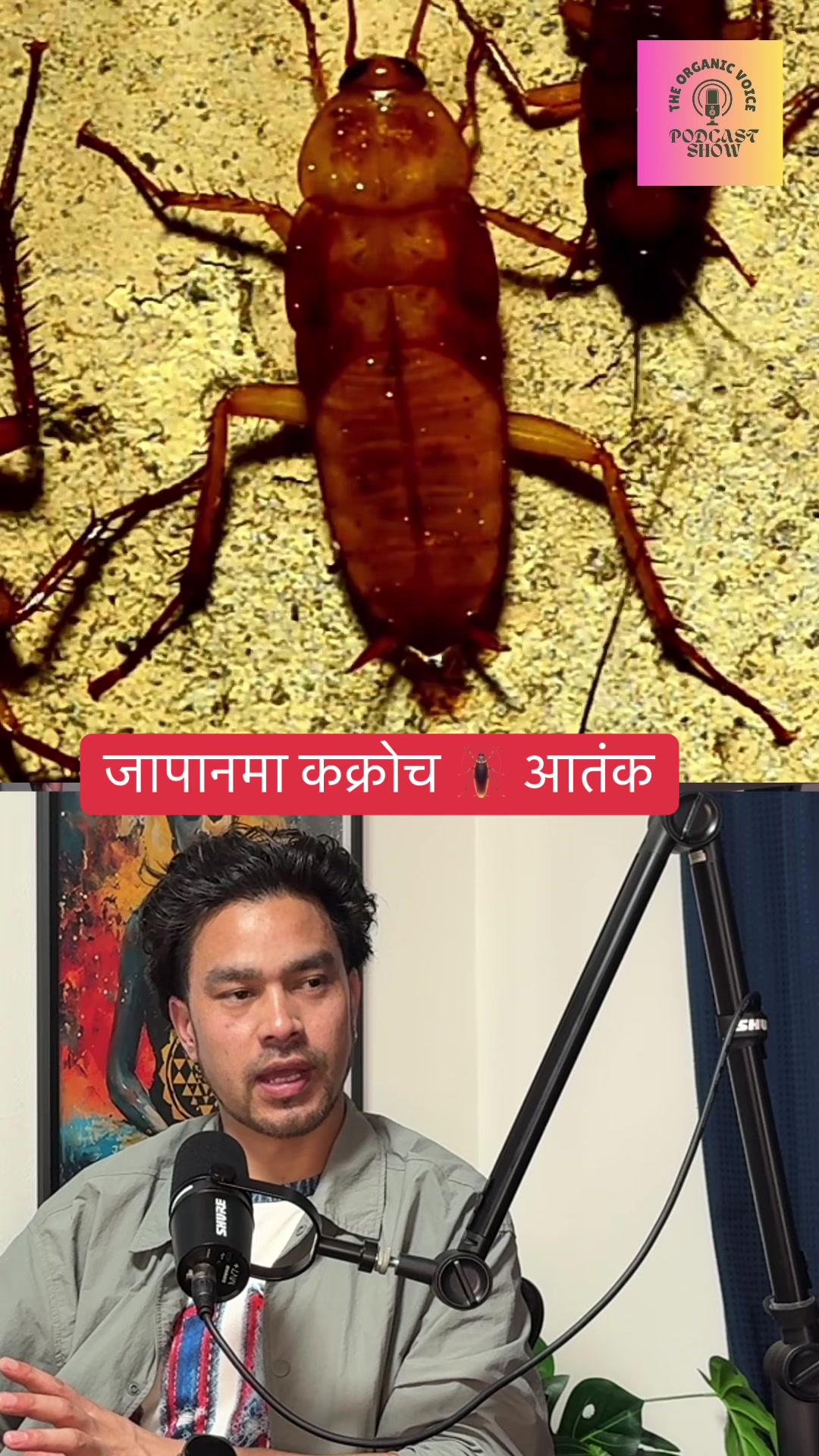 @THE ORGANIC VOICE PODCAST