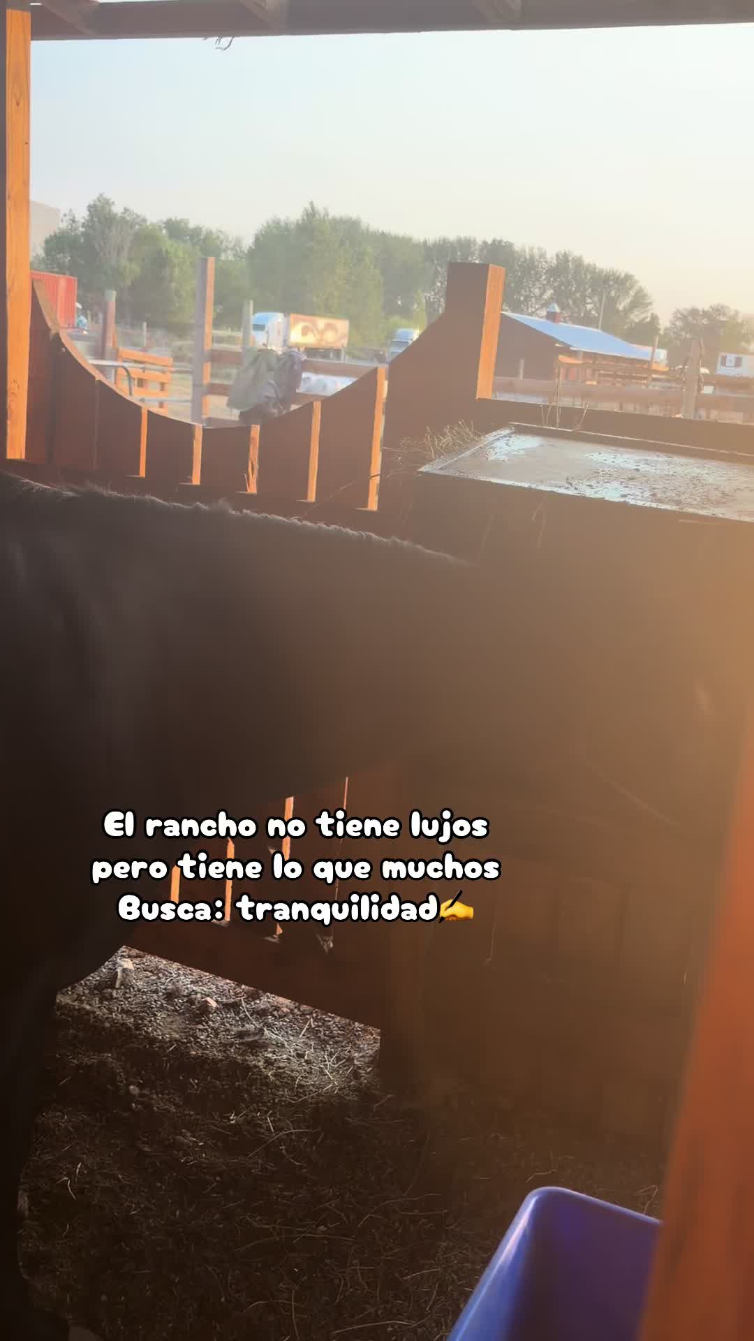 @Sayuri💚 11:11