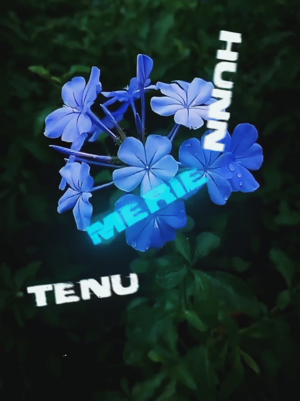 @𝕸𝖗-𝖈𝖍𝖊𝖊𝖒𝖆
