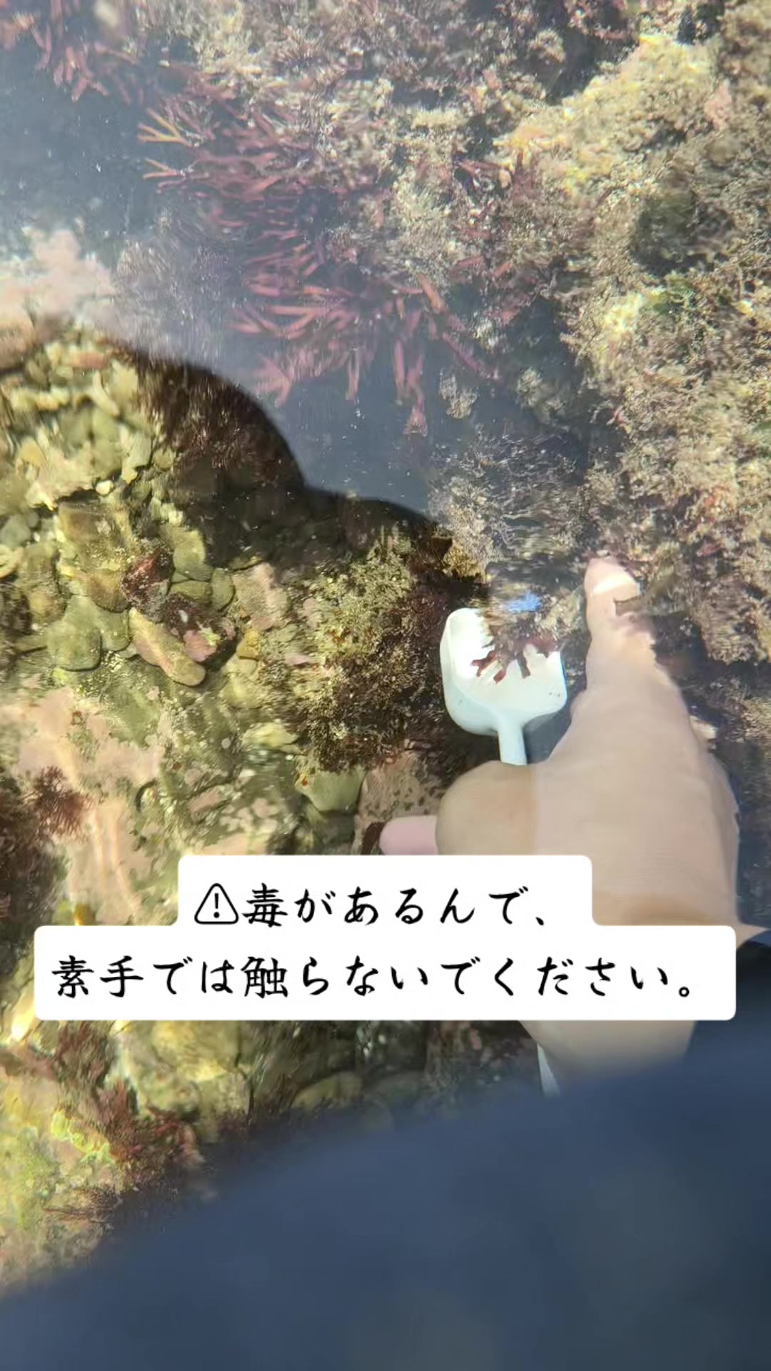 @ゆすら