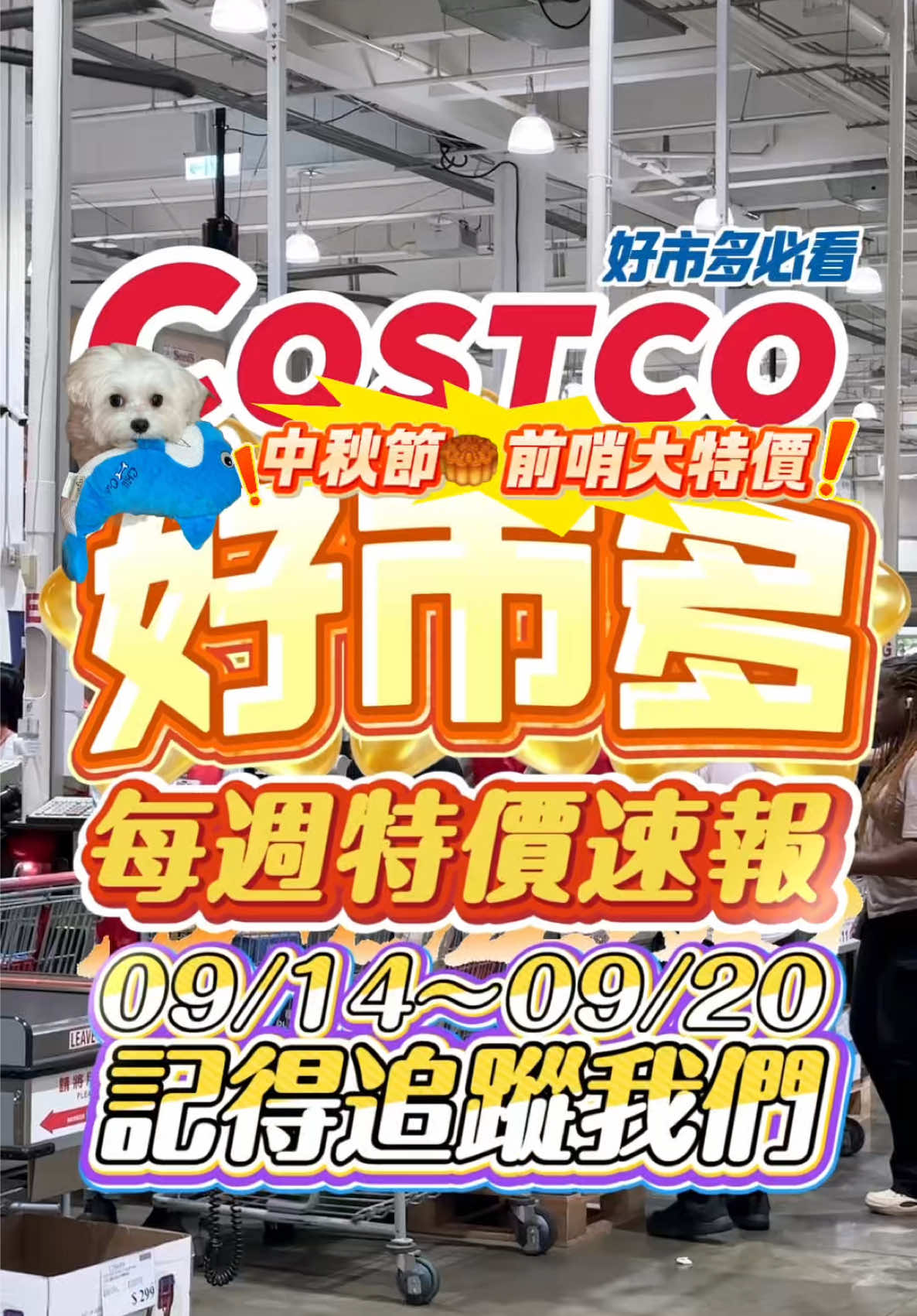 @Youtube搜尋🔍可可酒精