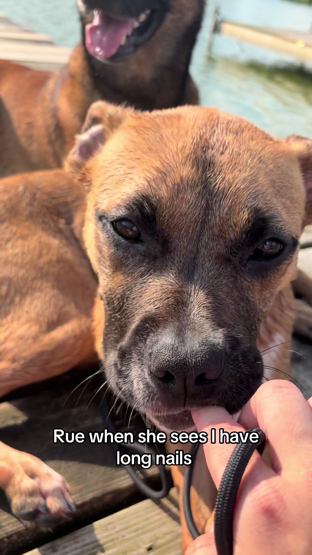 @driven.k9s