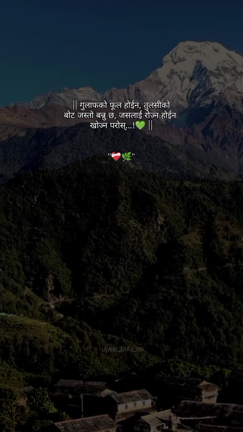 @ЁЭХМЁЭХБЁЭХОЁЭФ╕ЁЭХГтЭдя╕ПЁЯй╣ЁЯМ┐