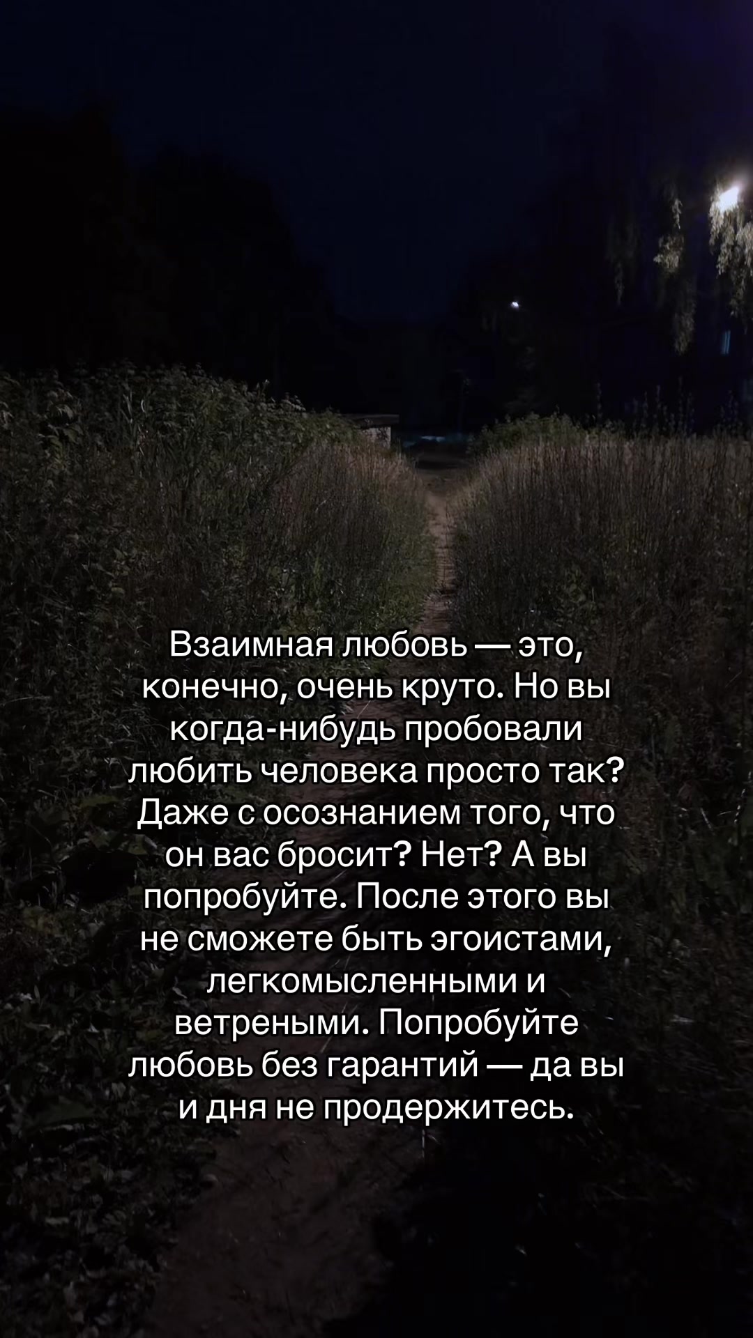 @n1kbond🎭