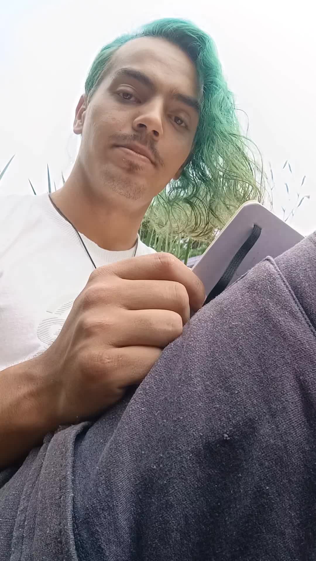@Gustavo Ferreira