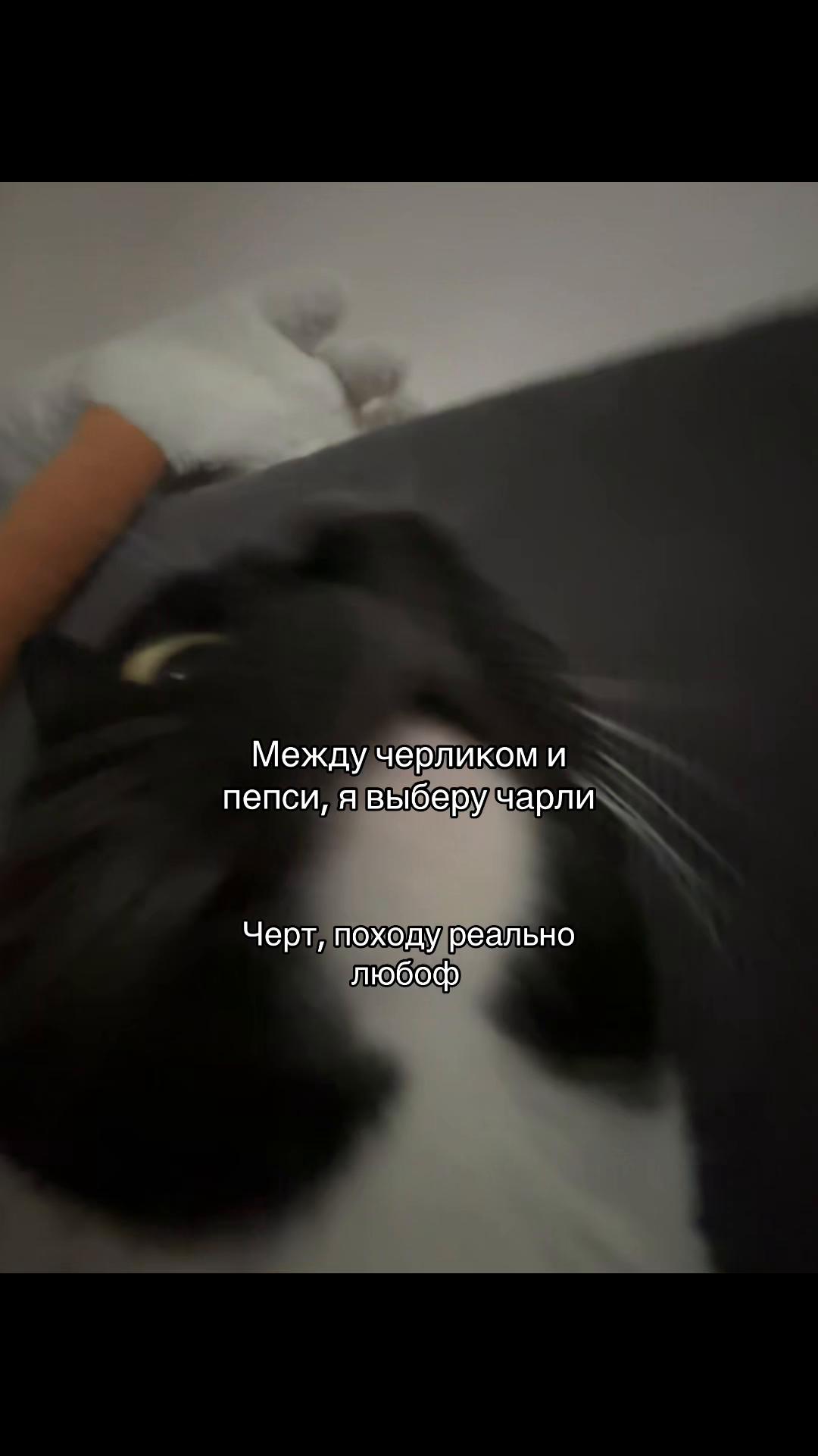 @Тгк:Фоняфа🎀✨
