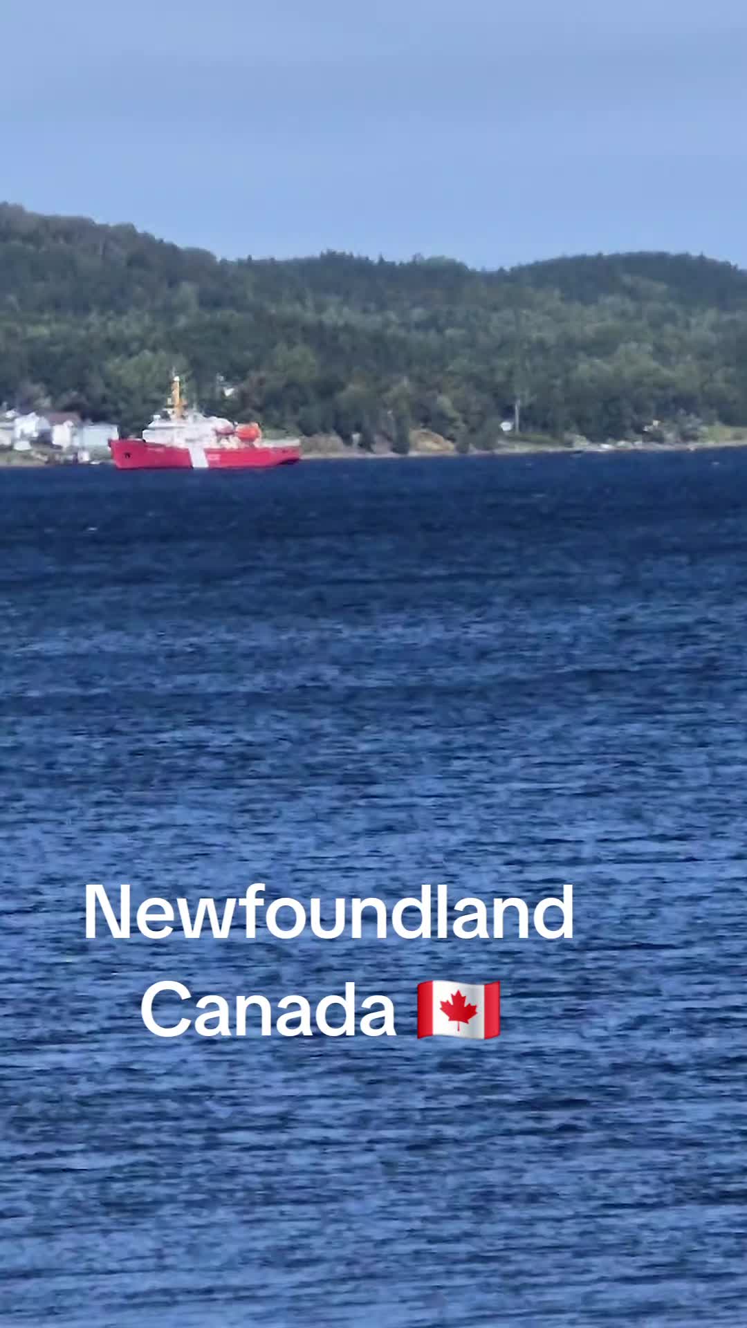 @⚓️Dwayne NL🇨🇦🇨🇦Gen ❌️