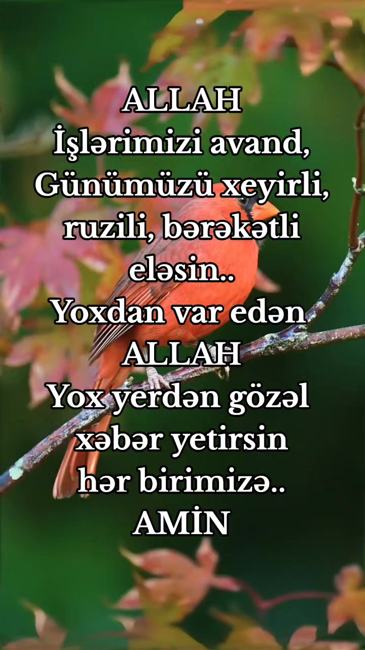 @DİNİM İSLAM