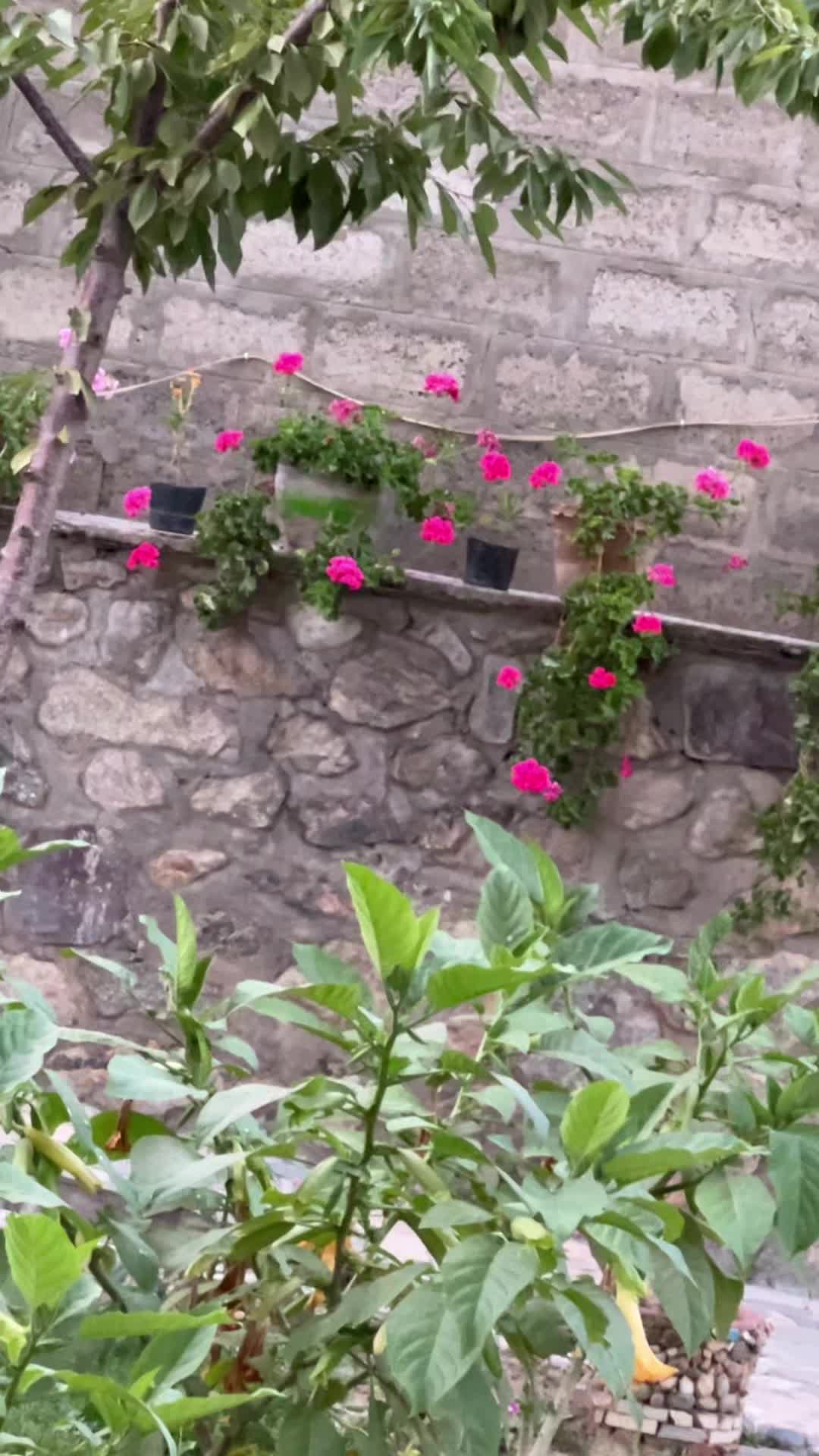 @منظره های زیبا افغانستان
