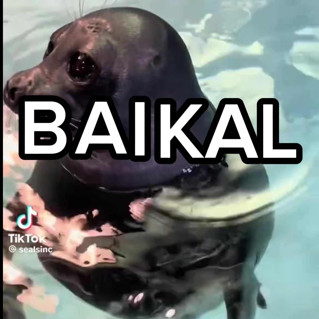 @BaikalSealHugger