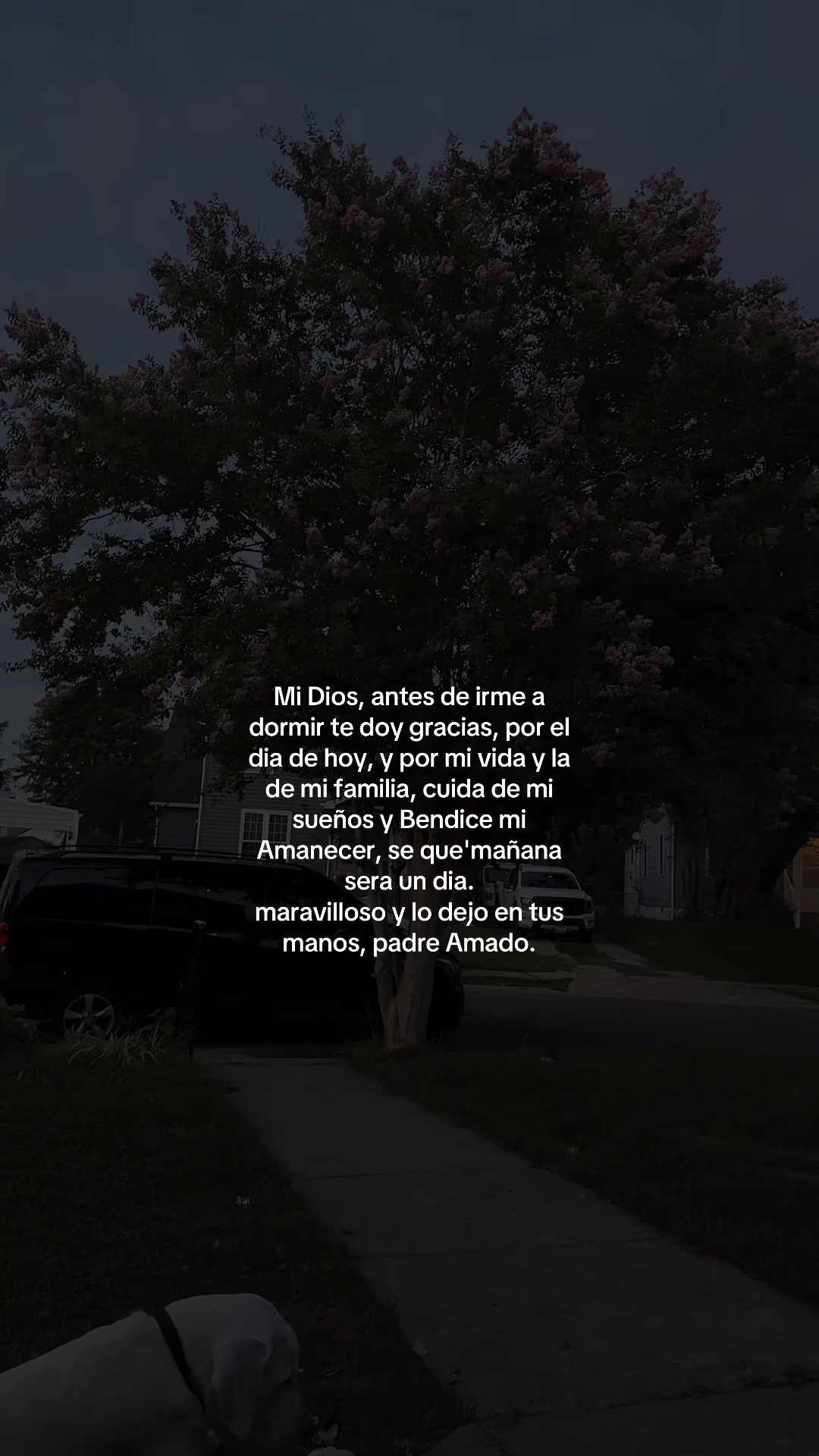 @🥀Mentalidad_Refleccion 🪫