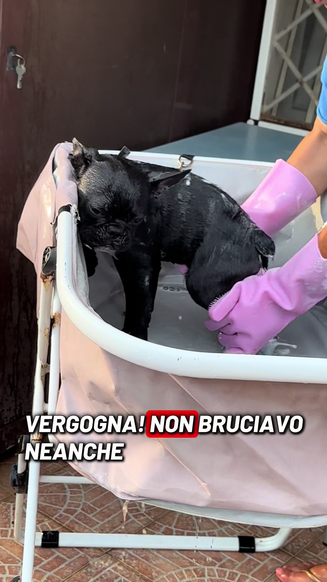 @Bullo_mal&ugrave;