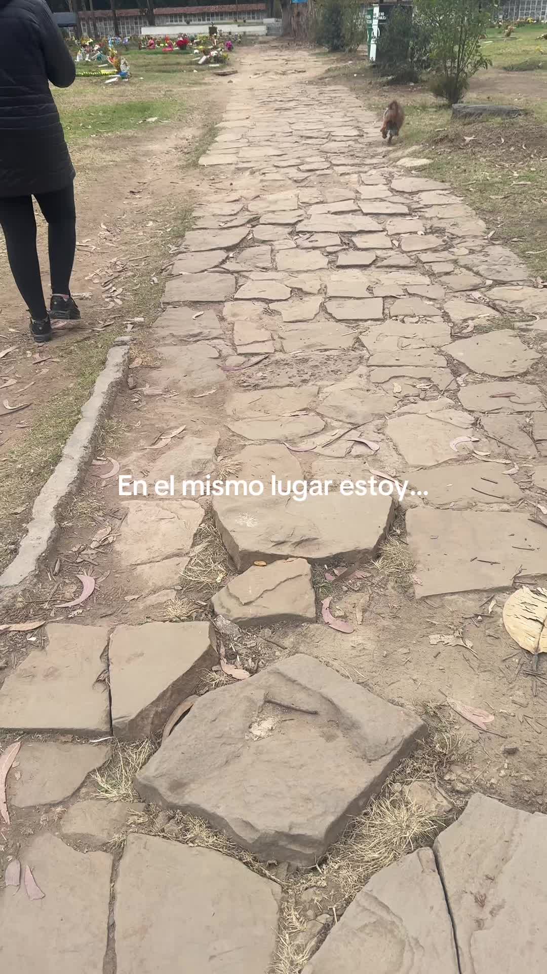 @Luu.