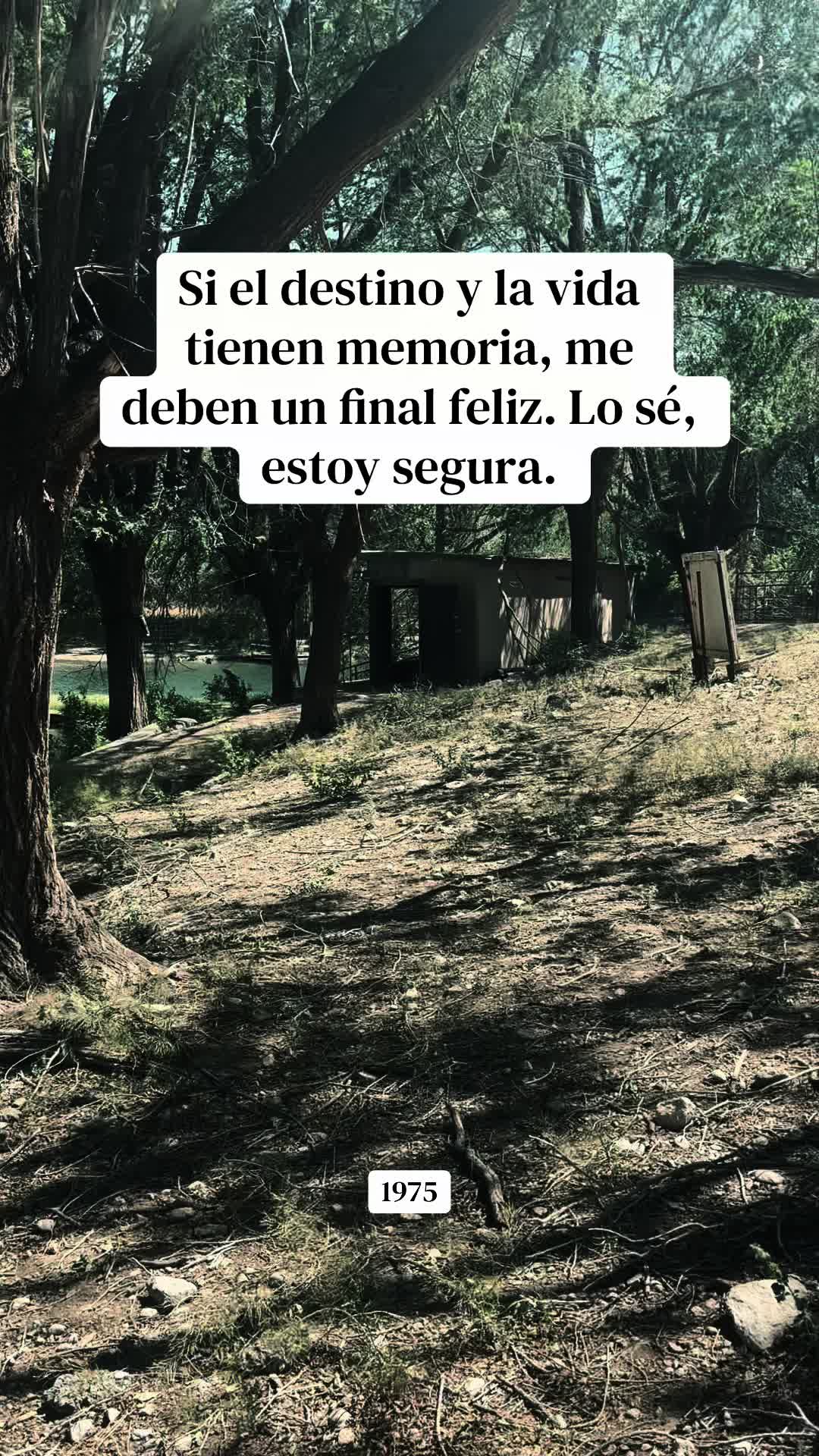 @Lavi♈️