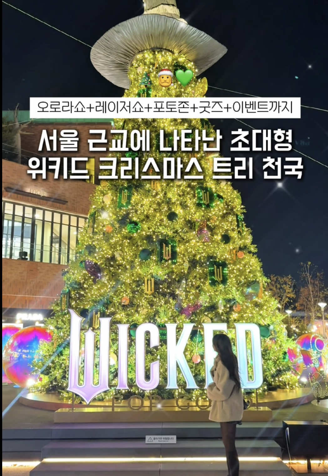 @네이로🩵