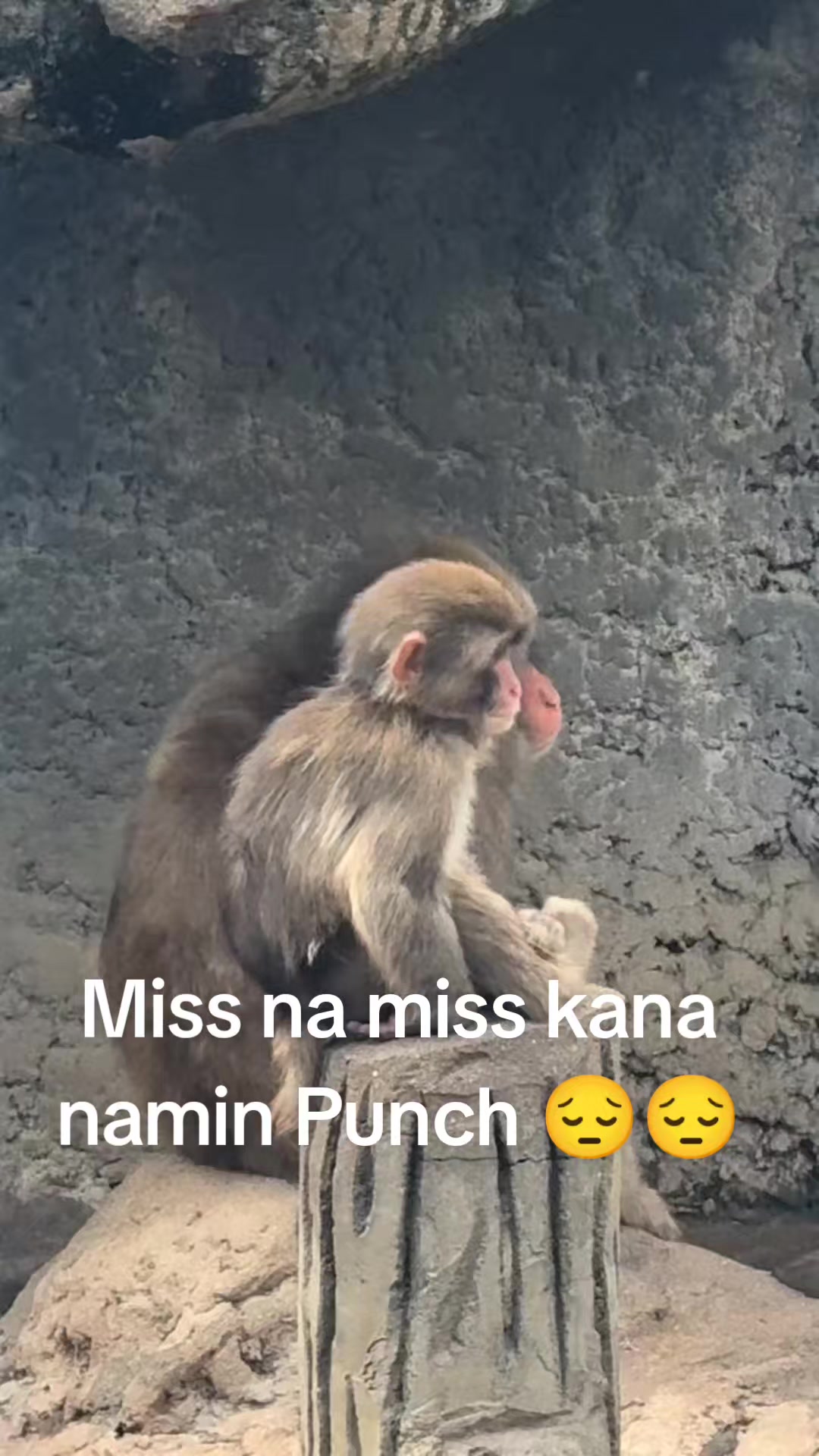 @zikstin16