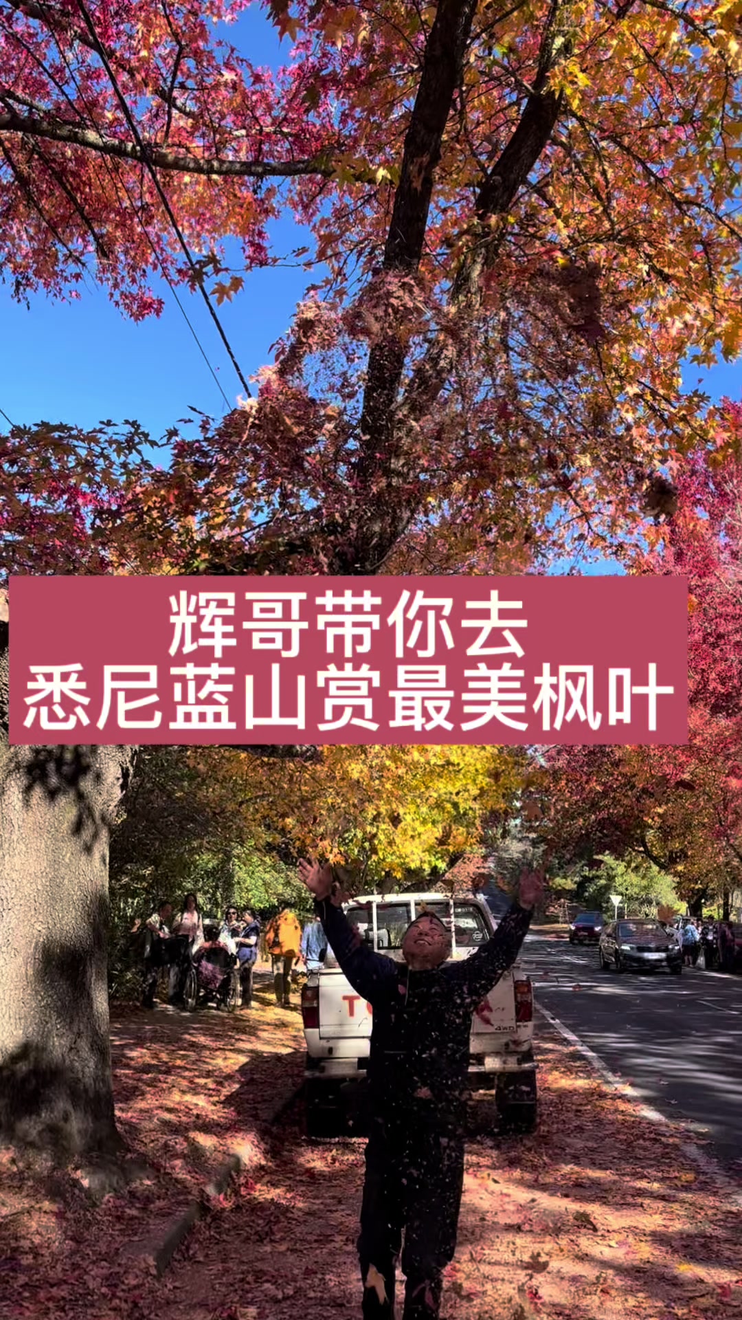 @旅行社辉哥在澳洲