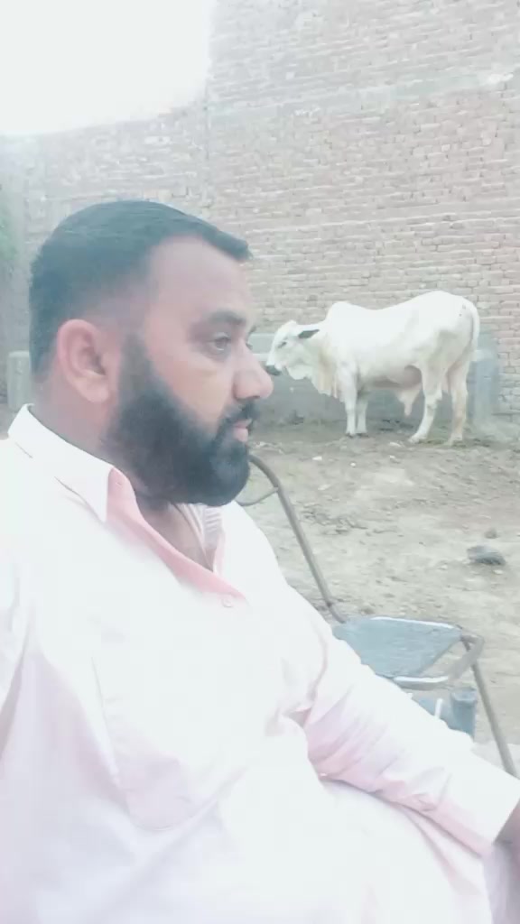 @amanat Kasai