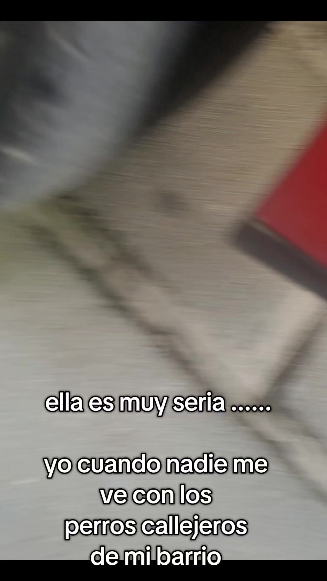 @ElaCC