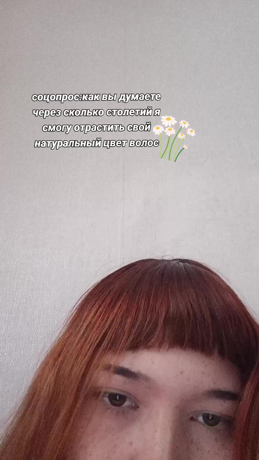 @хелтер