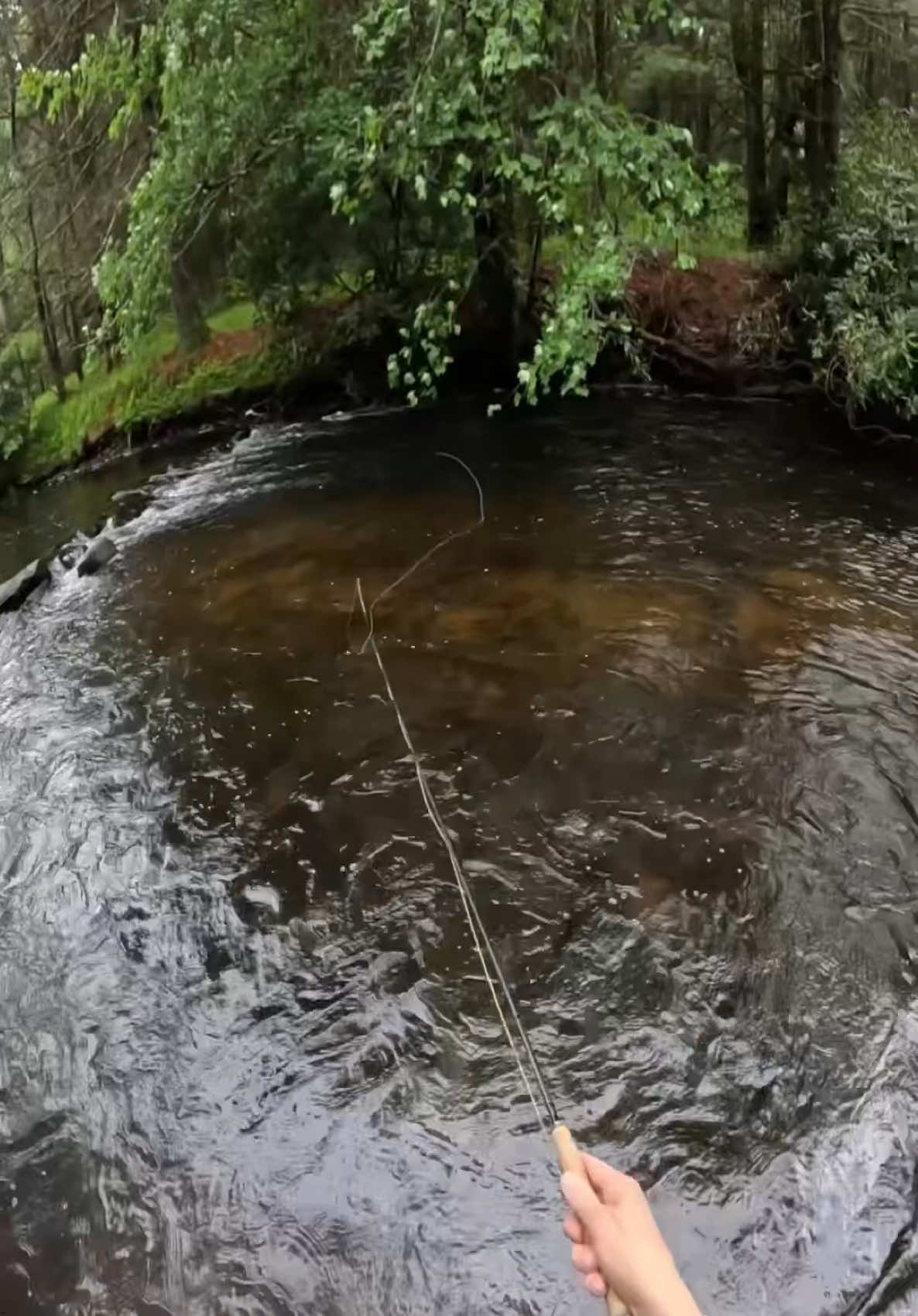 @FlyFishDelawhere