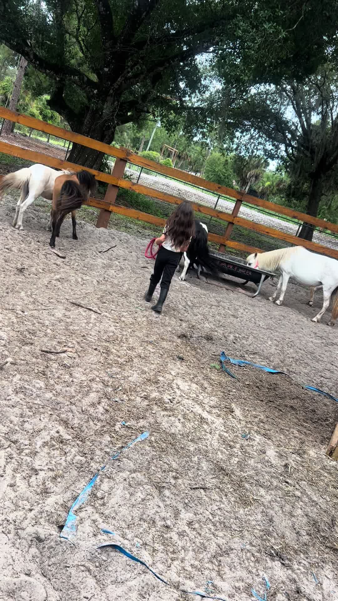 @Danny