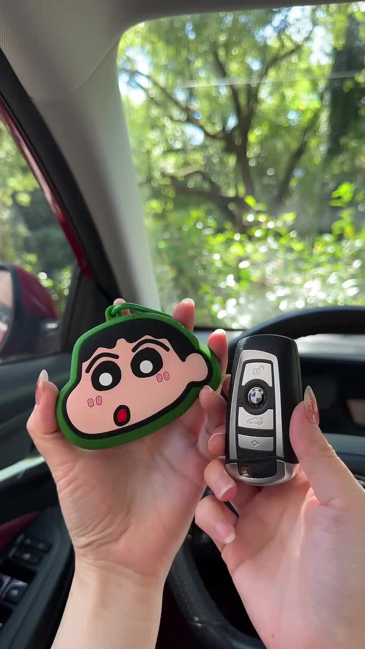 @carmallpro.com