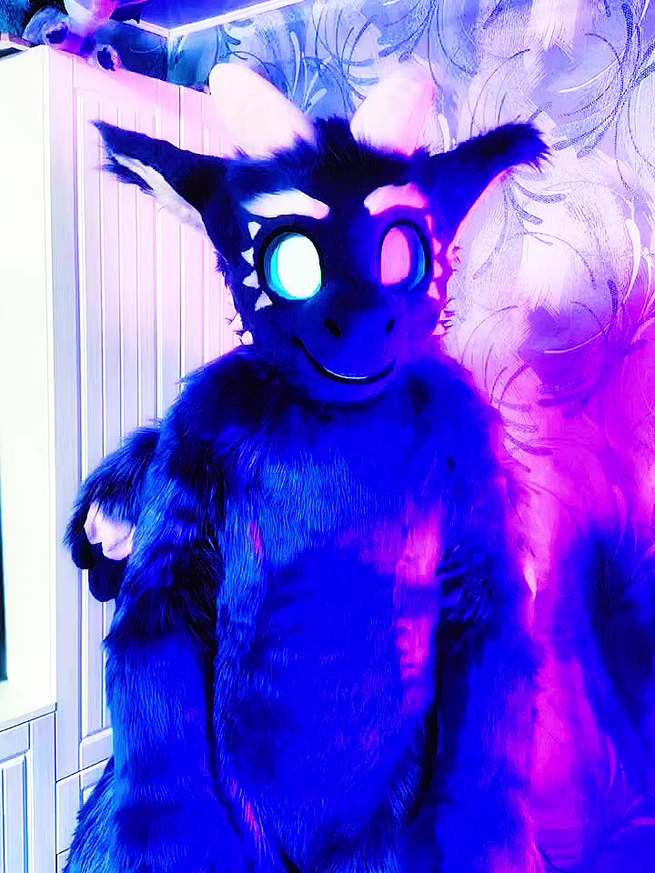 @🍇💠«𝓥𝓪𝓲𝓵 »💠🍇