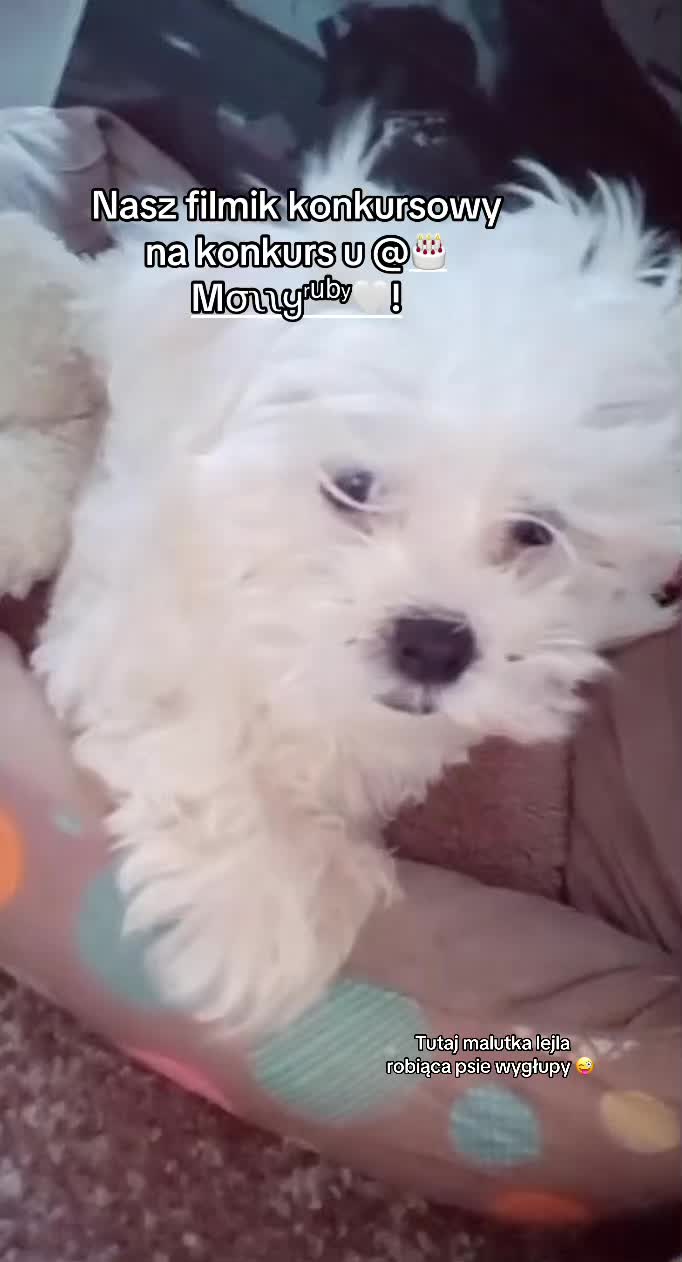 @โ๐ฉ๐๐๐๐๐&๐๐๐๐๐๐ชโ