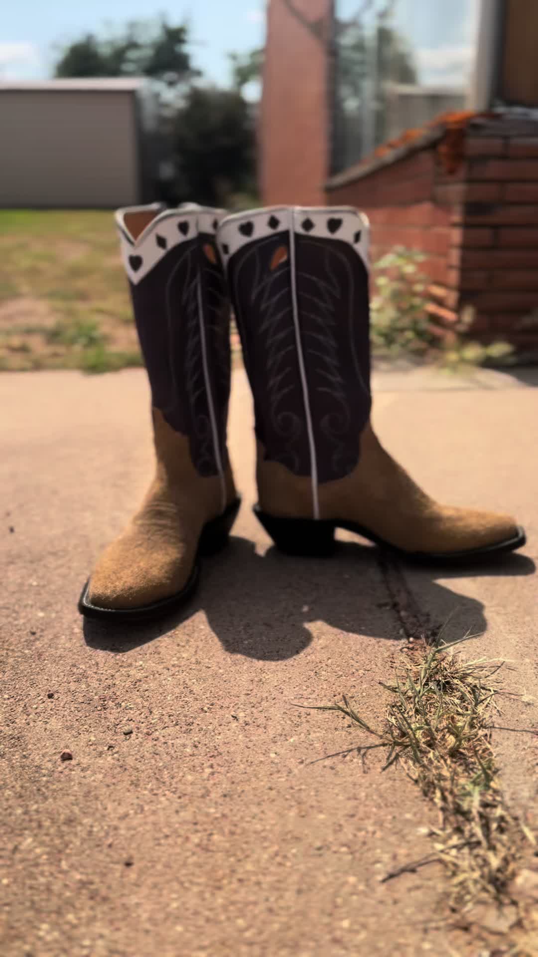 @♣️Brilee’s Boots 📸
