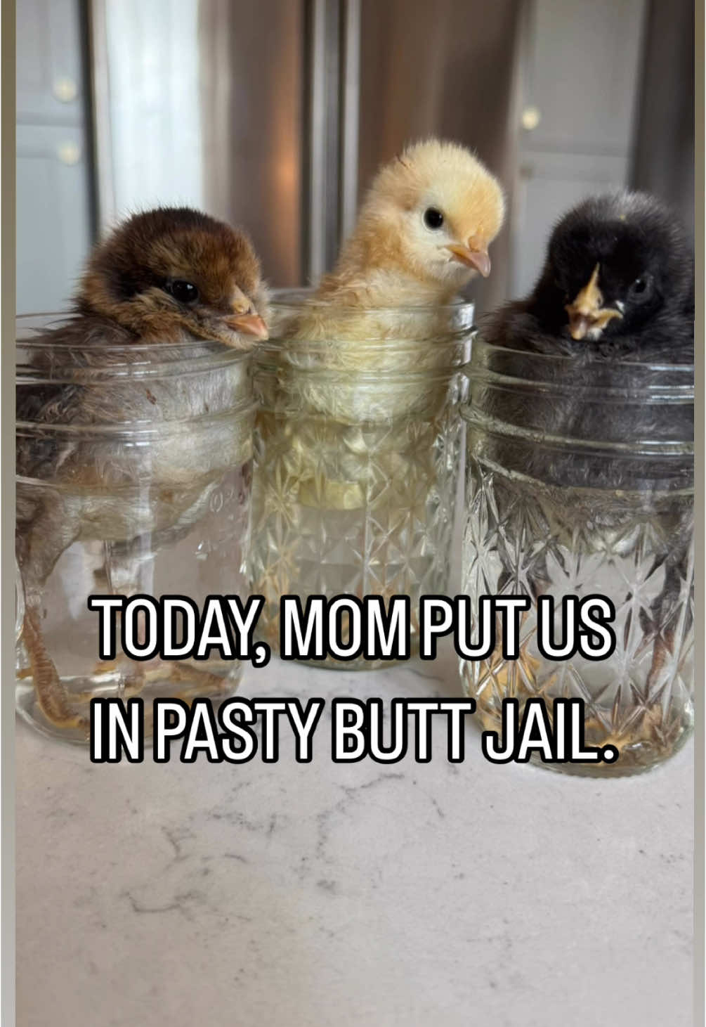 @CHICKTOK