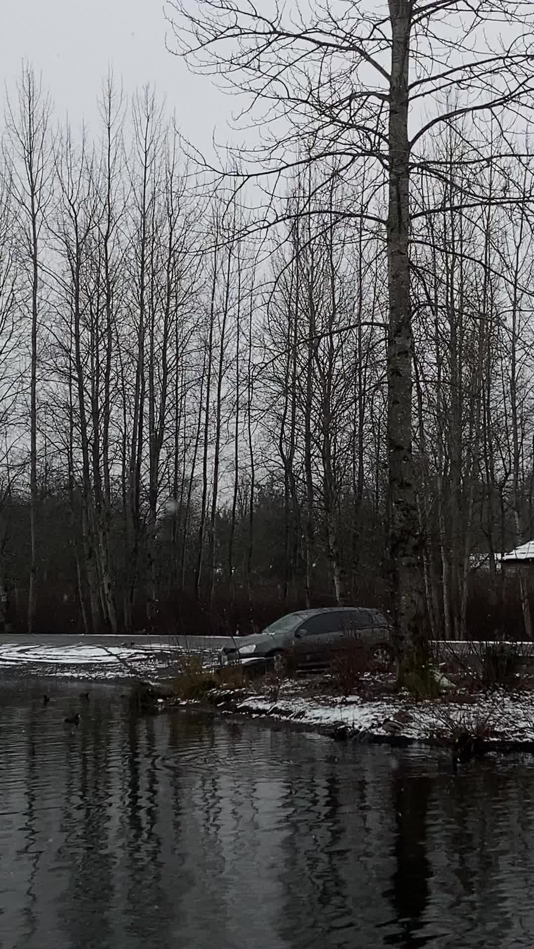 @dat.vw.rabbit