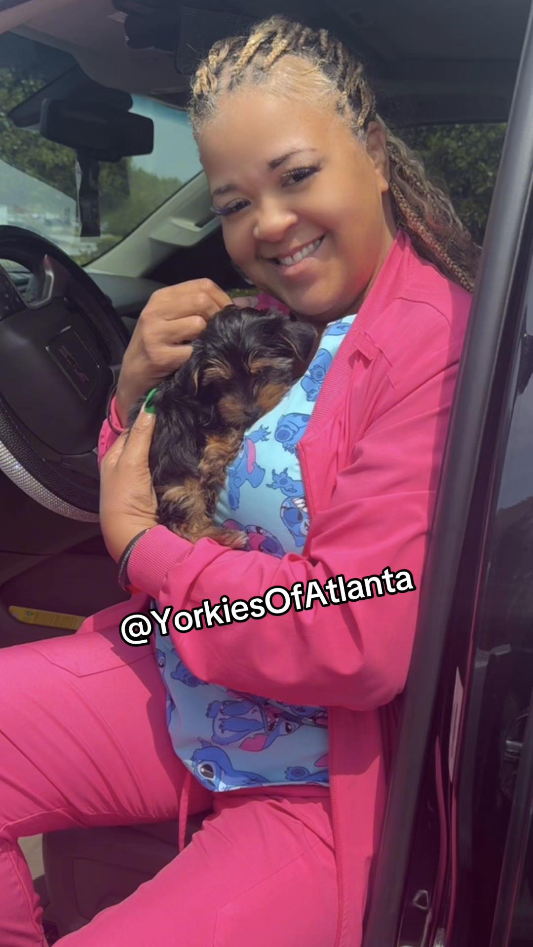 @Yorkies Of Atlanta