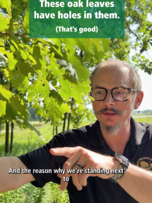 @DuPage County Forest Preserve