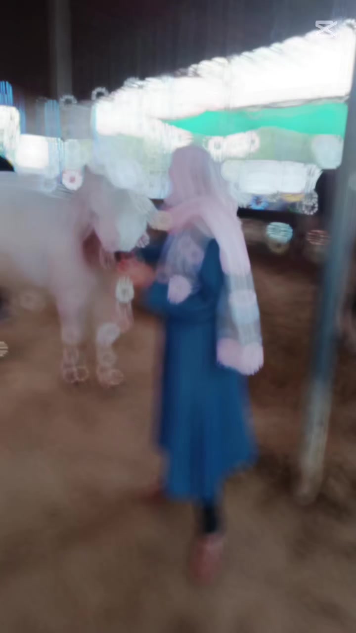 @꧁سیدہ ابیہا فاطمہ رضوی꧂