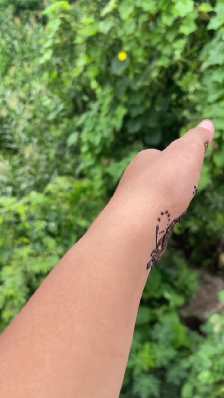 @नितु 🫶