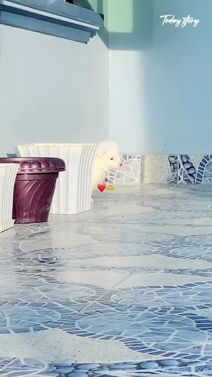 @November_🧿🤍