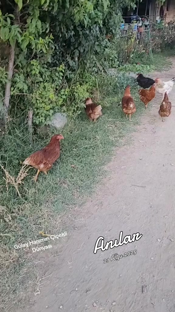 @Gülay Hanımın Çiçekli Dünyası
