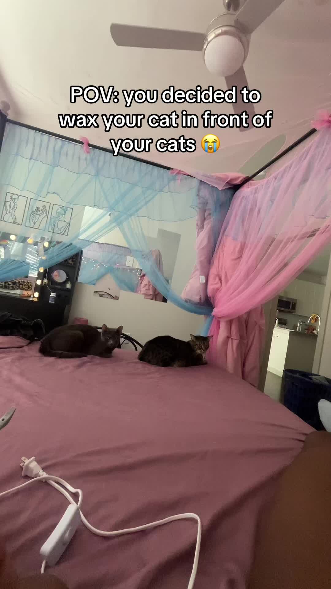 @CLEOCASHBABEE3.0