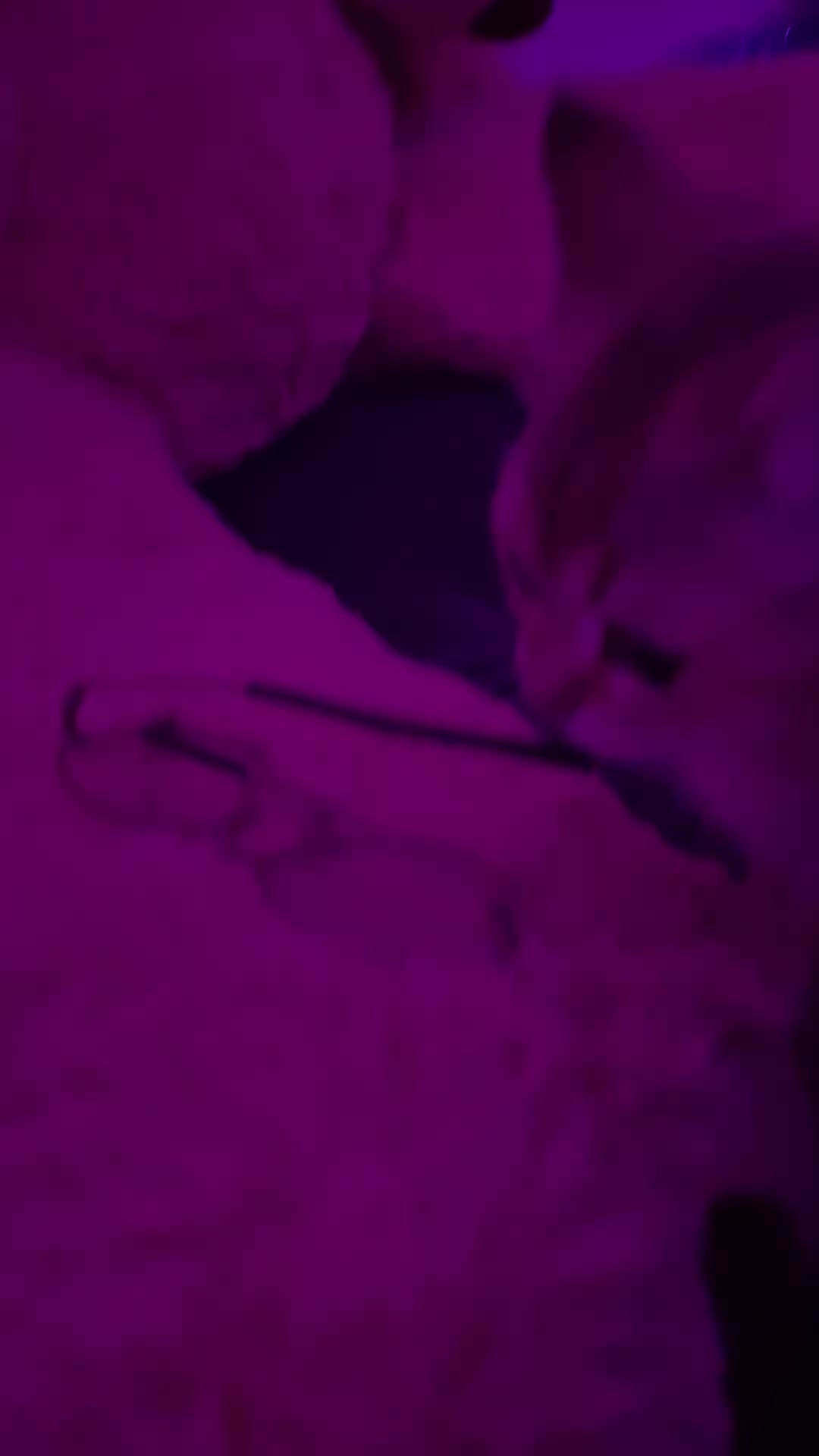 @😽
