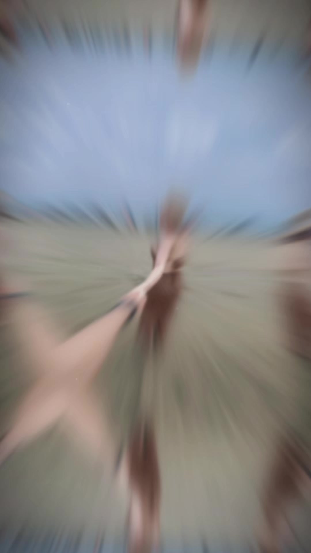 @𝐓𝐫𝐨̂𝐧𝐠𝐜𝐮̃𝐧𝐠 xinhh
